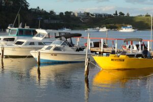 Safe Transport Vic’s Boating Behaviour Survey