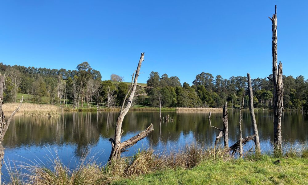 Photo of Tarago Reservoir