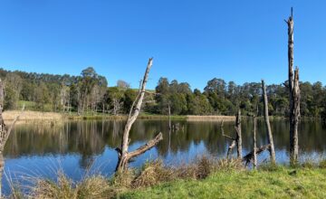 Photo of Tarago Reservoir