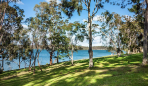 Draft Future Directions Plan for Yan Yean Reservoir Park