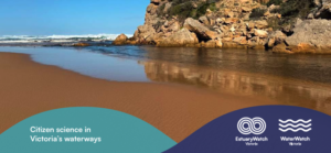 The valuable contribution of citizen science to Victoria’s waterways