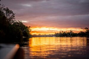 VRFish share opportunities in review of Murray-Darling Basin Plan