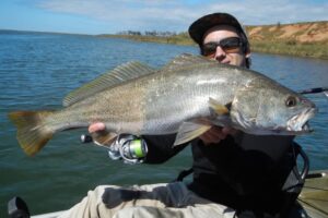 VRFish releases Mulloway survey results